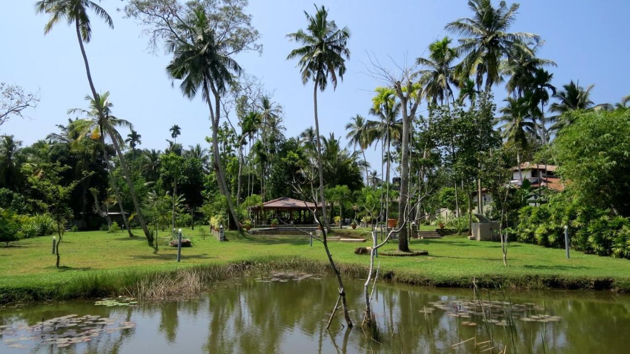Avalon Village Resort Induruwa Eksteriør bilde