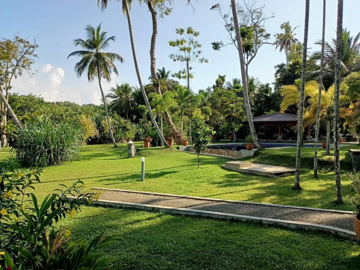 Avalon Village Resort Induruwa Eksteriør bilde