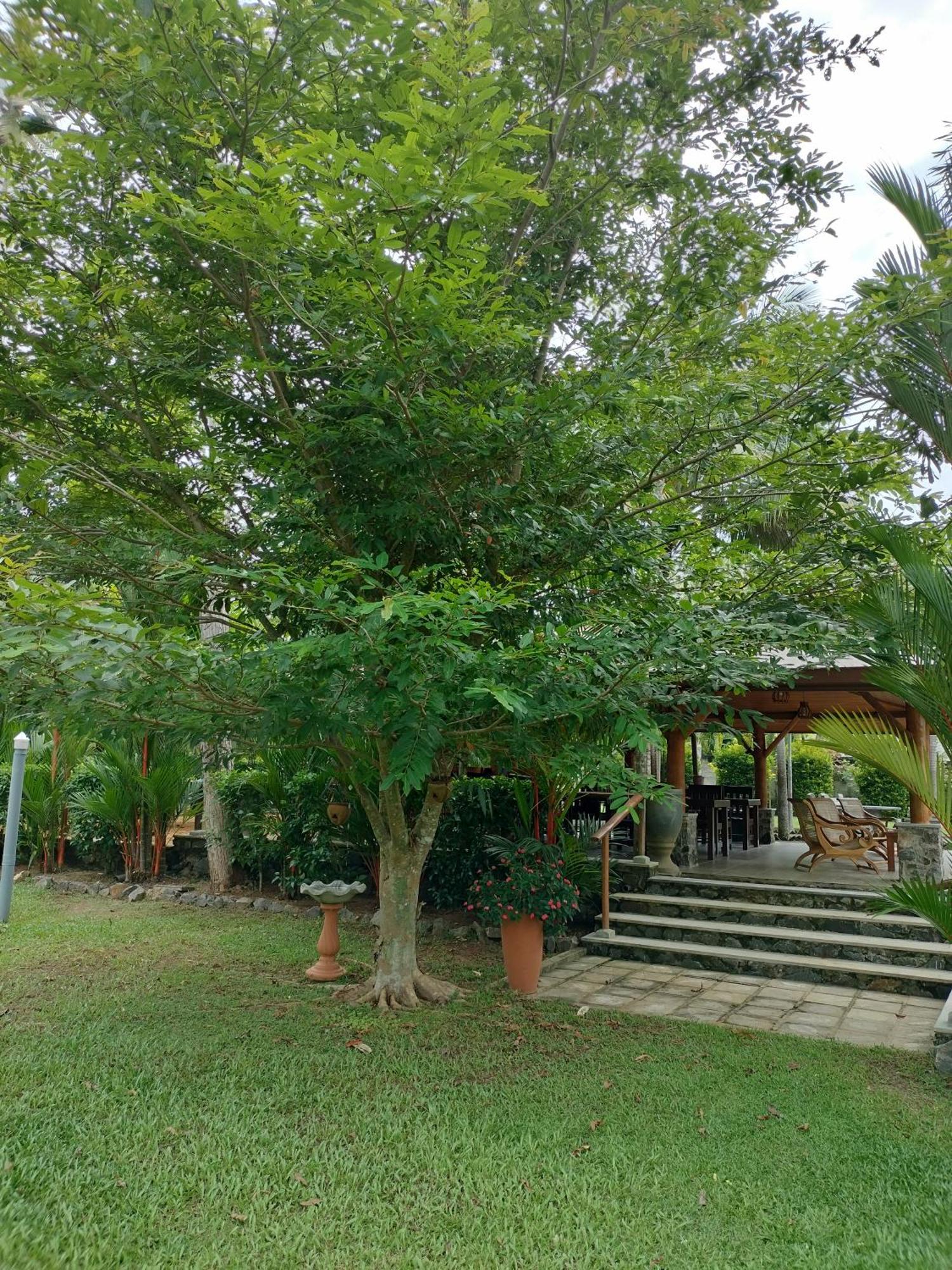 Avalon Village Resort Induruwa Eksteriør bilde