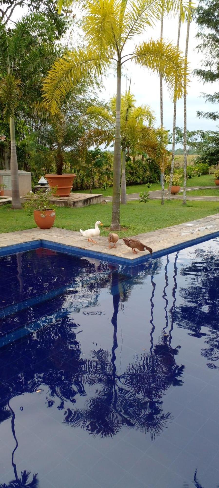 Avalon Village Resort Induruwa Eksteriør bilde