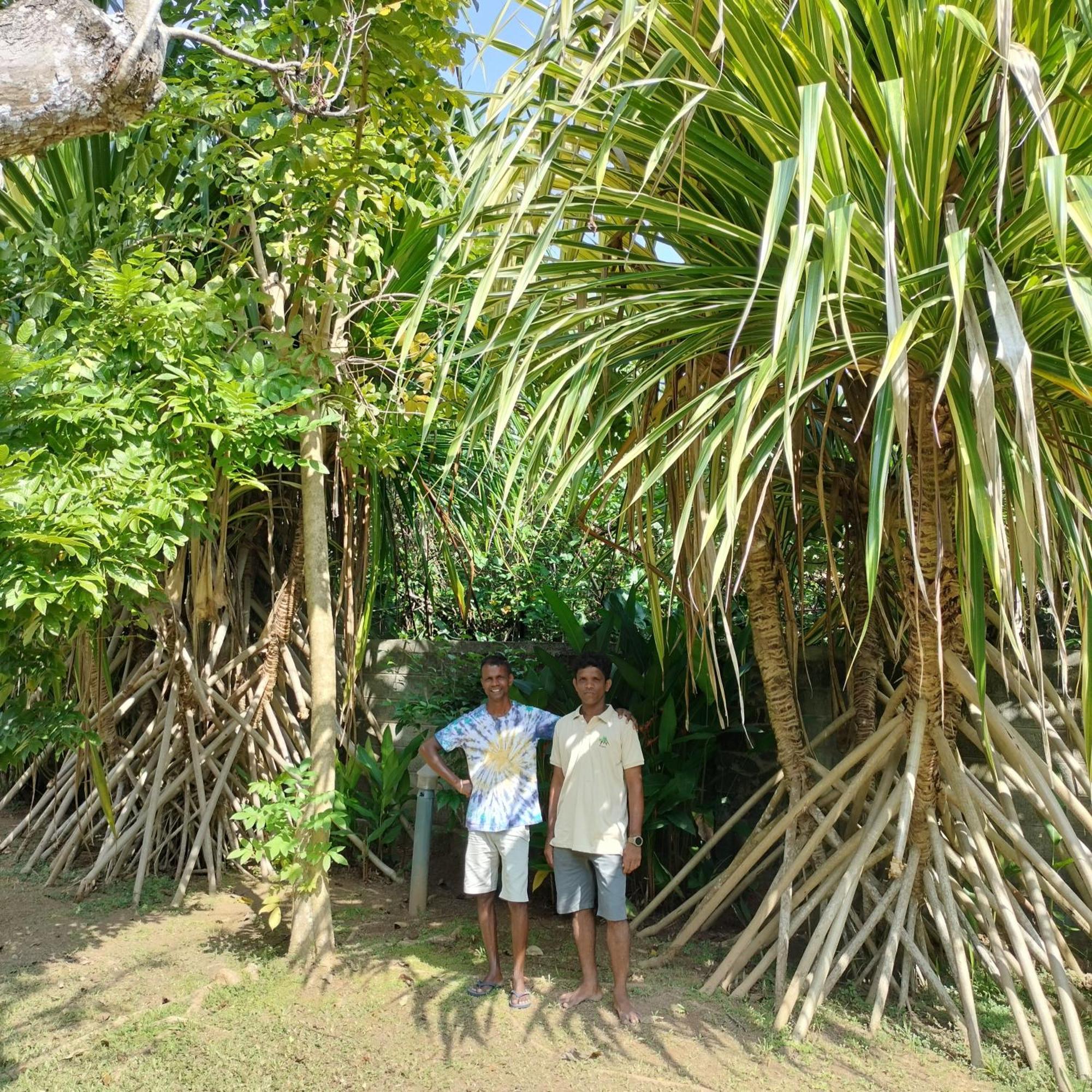 Avalon Village Resort Induruwa Eksteriør bilde