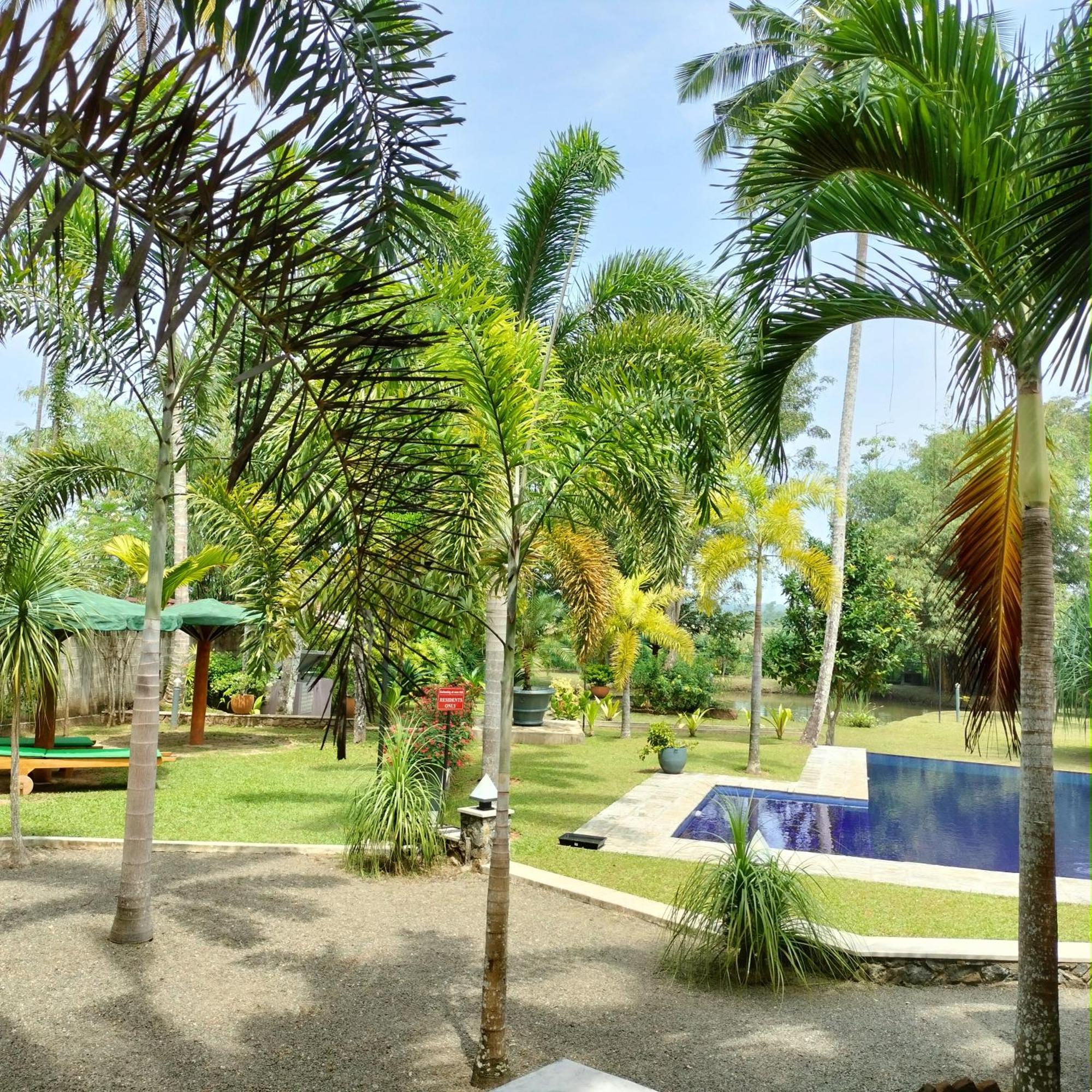 Avalon Village Resort Induruwa Eksteriør bilde