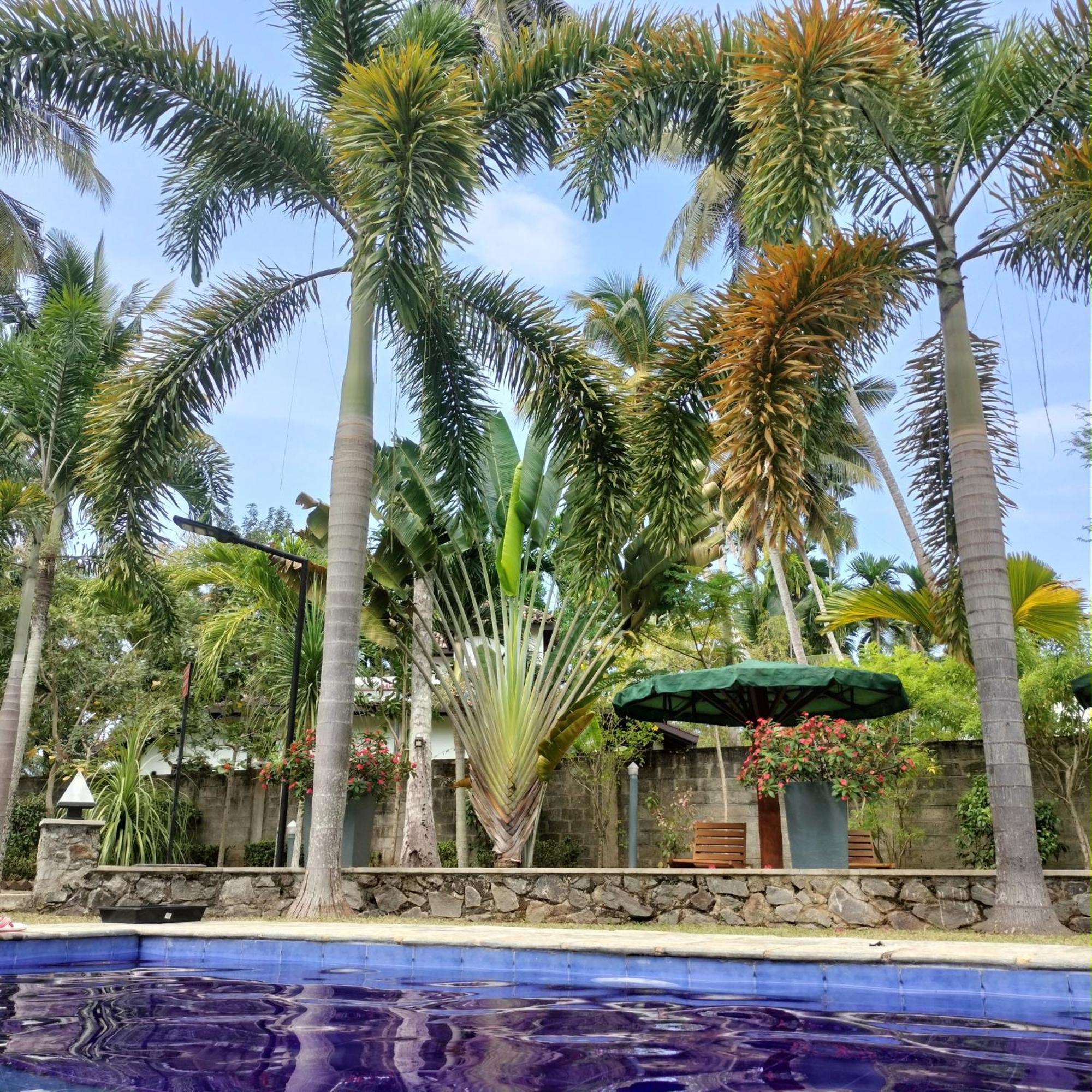 Avalon Village Resort Induruwa Eksteriør bilde