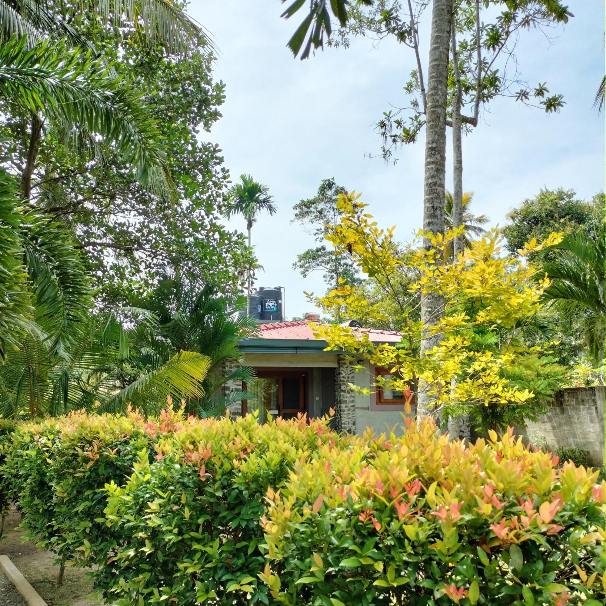 Avalon Village Resort Induruwa Eksteriør bilde