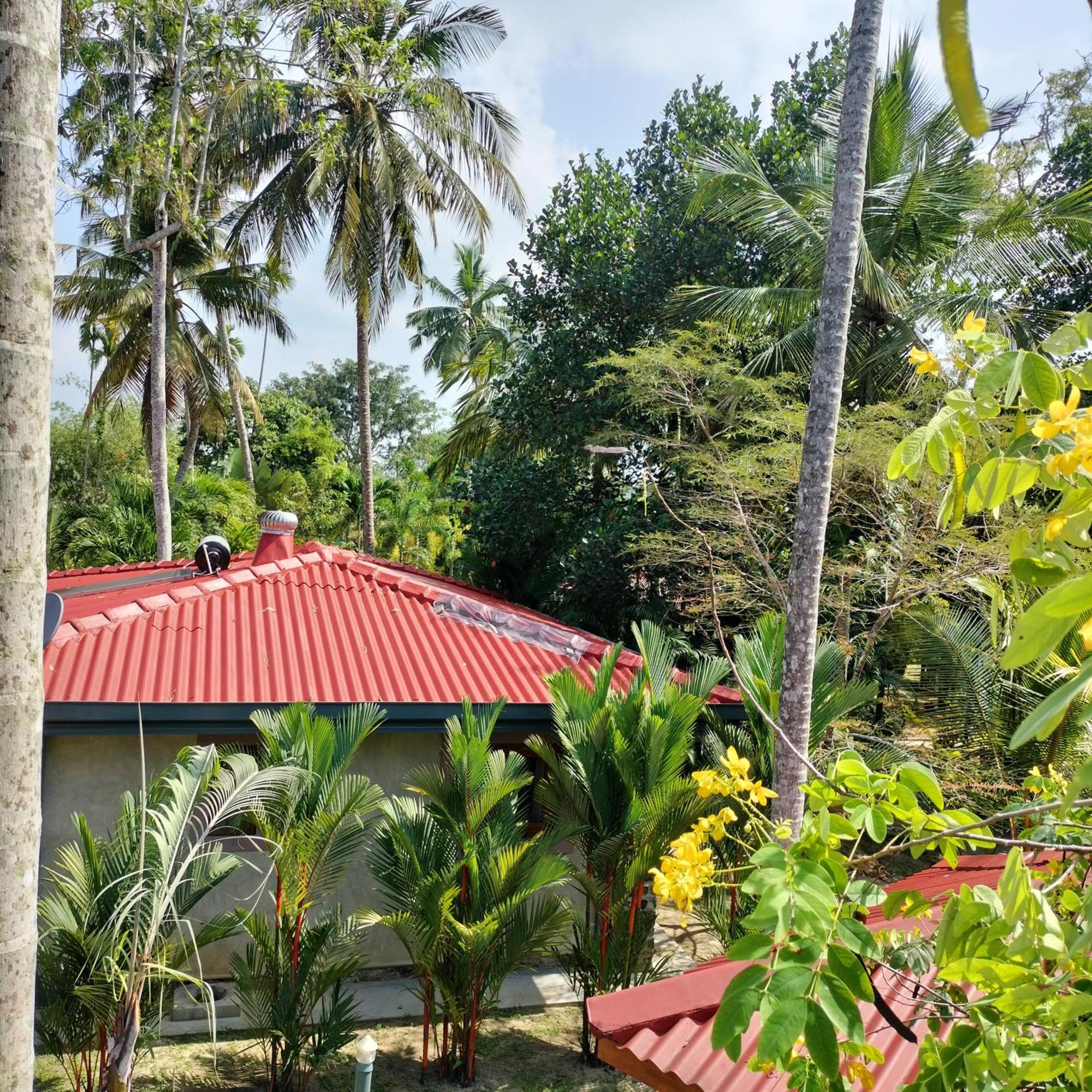 Avalon Village Resort Induruwa Eksteriør bilde