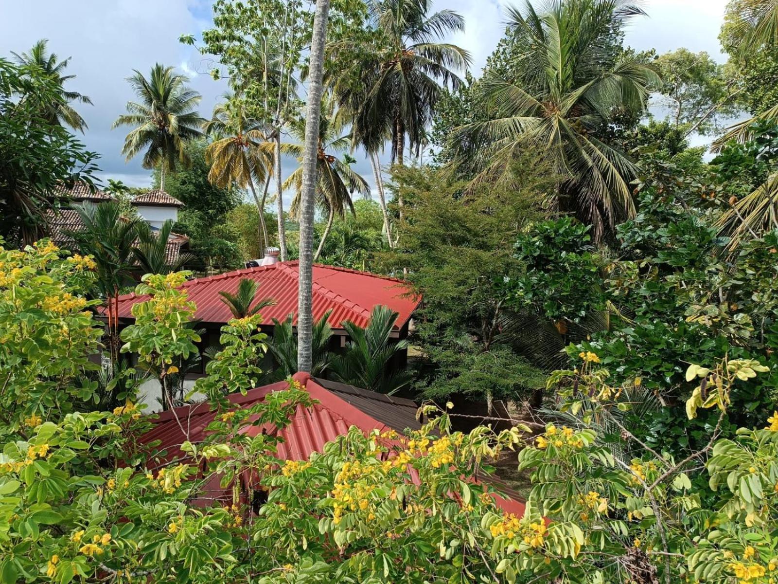 Avalon Village Resort Induruwa Eksteriør bilde